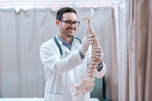 spine